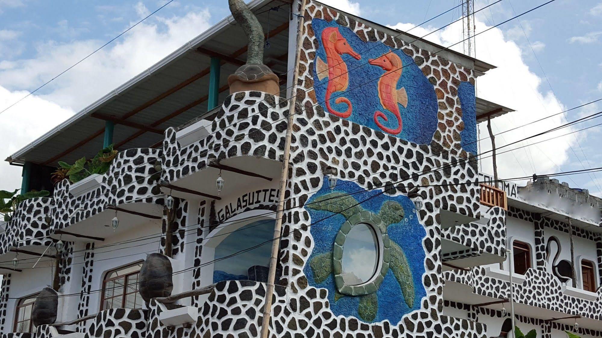 Hotel Coloma Galapagos Puerto Ayora  Bagian luar foto